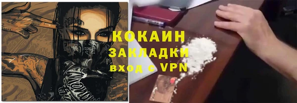 mix Бородино