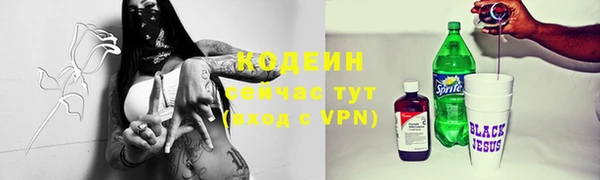 шишки Болотное