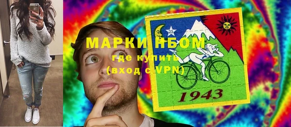 сатива Верхний Тагил