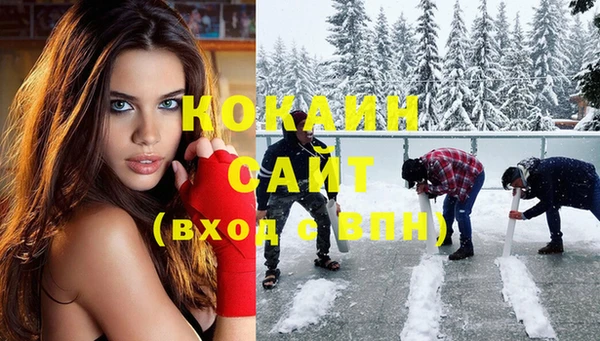 mix Бородино
