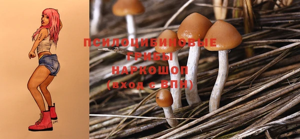 mix Бородино