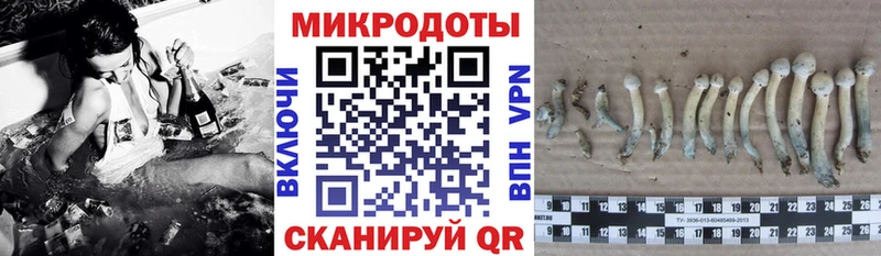 Псилоцибиновые грибы Magic Shrooms  Велиж 